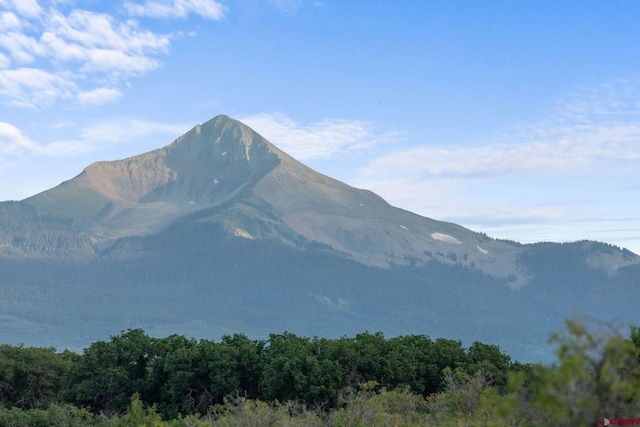 770 S Avalon Dr, Norwood, CO 81423 - property view of mountains featuring a forest view