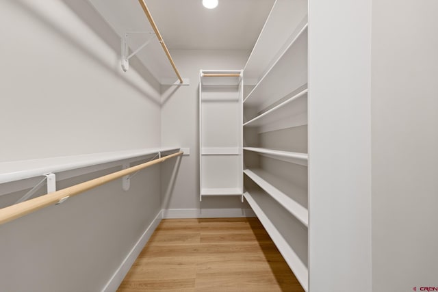 walk in closet with light wood-type flooring