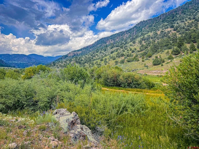 70 N Alder Creek Ln, South Fork CO, 81154 land for sale