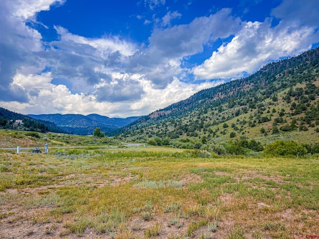 Listing photo 3 for 70 N Alder Creek Ln, South Fork CO 81154