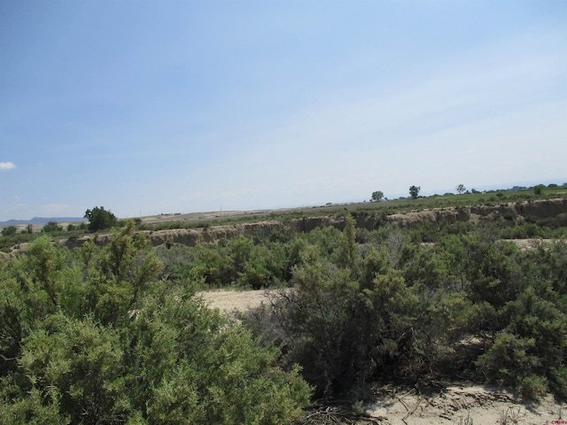 5721 Peach Valley Rd, Delta CO, 81416 land for sale