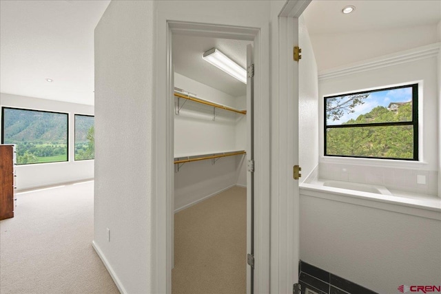 bathroom with plenty of natural light and a bathing tub