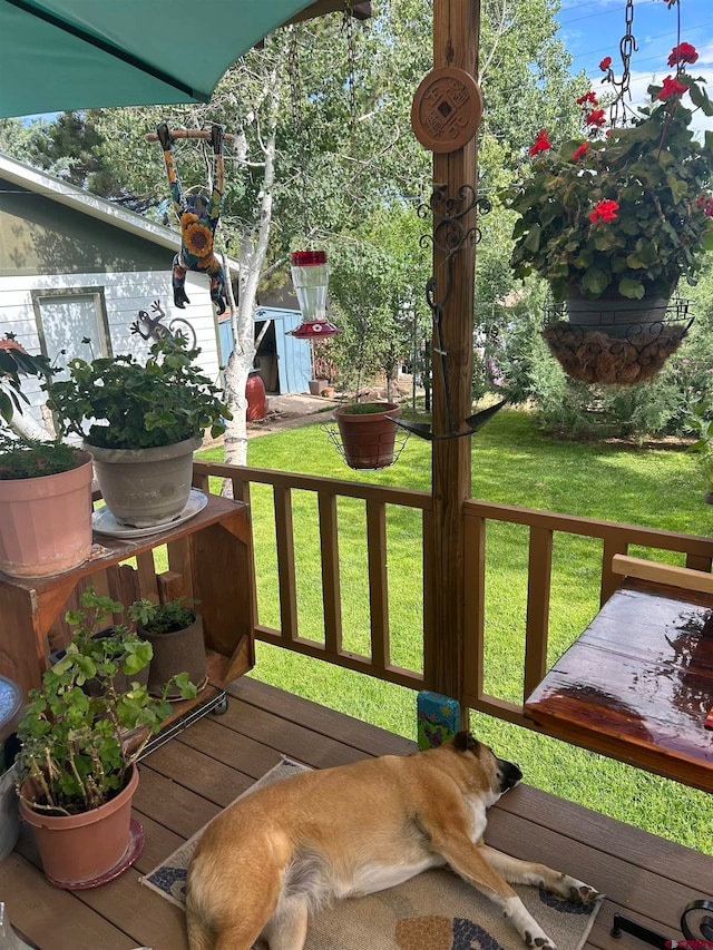 wooden deck featuring a lawn