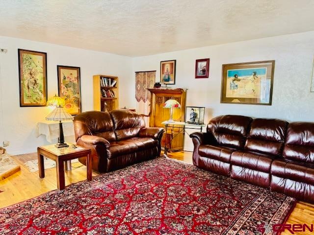 living room featuring light hardwood / wood-style floors and a textured ceiling