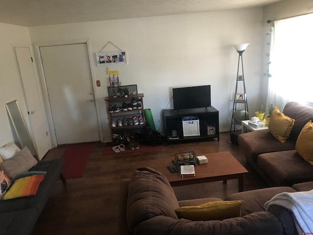 living room with wood-type flooring