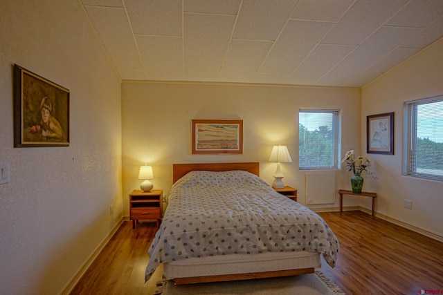 bedroom featuring hardwood / wood-style flooring