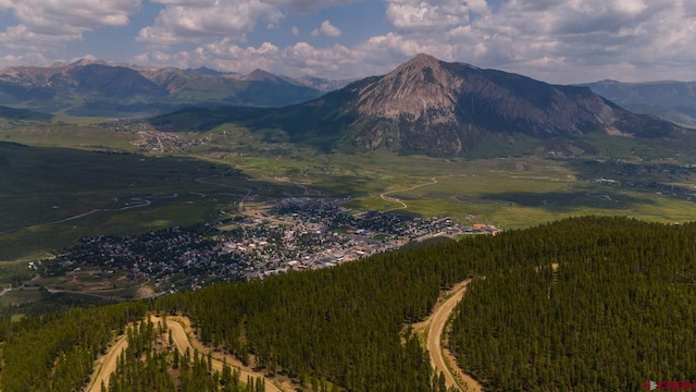 175 Saddle Ridge Rd, Crested Butte CO, 81224 land for sale