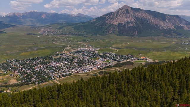 Listing photo 3 for 175 Saddle Ridge Rd, Crested Butte CO 81224