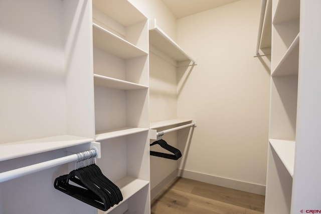 walk in closet featuring light wood-type flooring