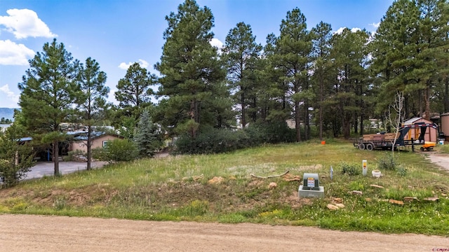 234 Fireside St, Pagosa Springs CO, 81147 land for sale