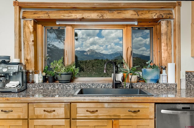 kitchen featuring dishwasher and sink