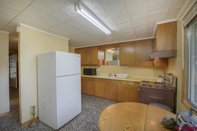 kitchen with electric stove, sink, ornamental molding, and white fridge