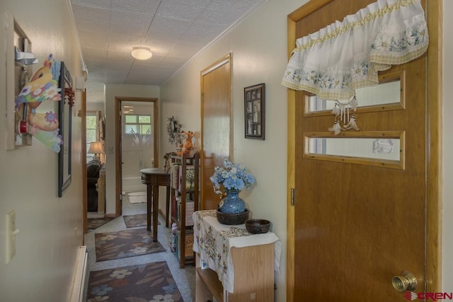 hall with crown molding and carpet flooring