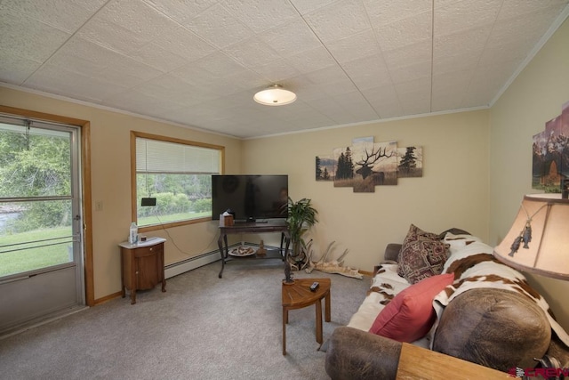 living room featuring crown molding, carpet floors, and a baseboard radiator