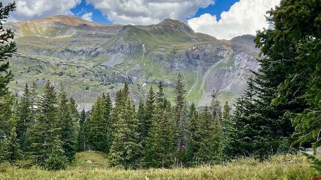 TBD County Road 14, Silverton CO, 81433 land for sale