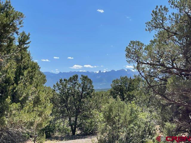 168 Crestwood Dr, Ridgway CO, 81432 land for sale