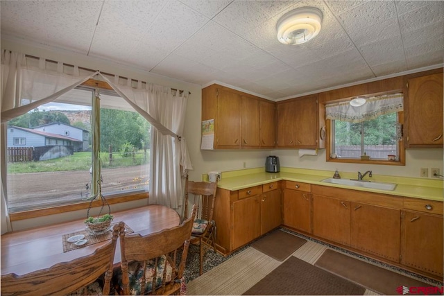 kitchen featuring sink