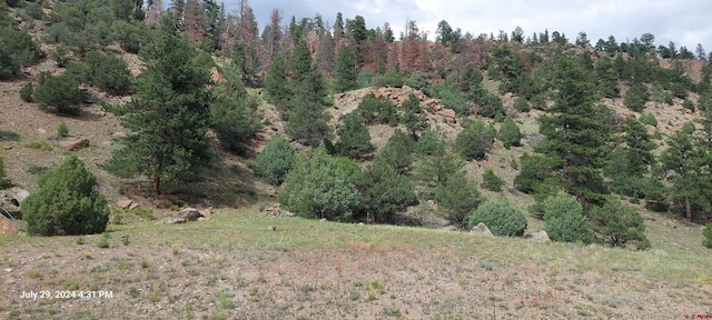 TBD State Highway 149, South Fork CO, 81154 land for sale