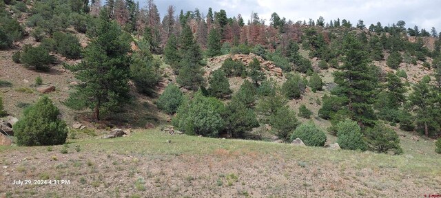 TBD State Highway 149, South Fork, CO 81154