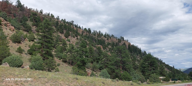 Listing photo 2 for TBD State Highway 149, South Fork CO 81154