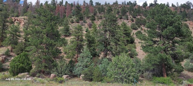 TBD State Highway 149, South Fork, CO 81154
