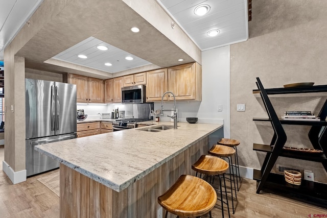 kitchen with light hardwood / wood-style floors, appliances with stainless steel finishes, kitchen peninsula, and sink