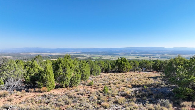 246 La Mesa Vista Dr, Norwood CO, 81423 land for sale