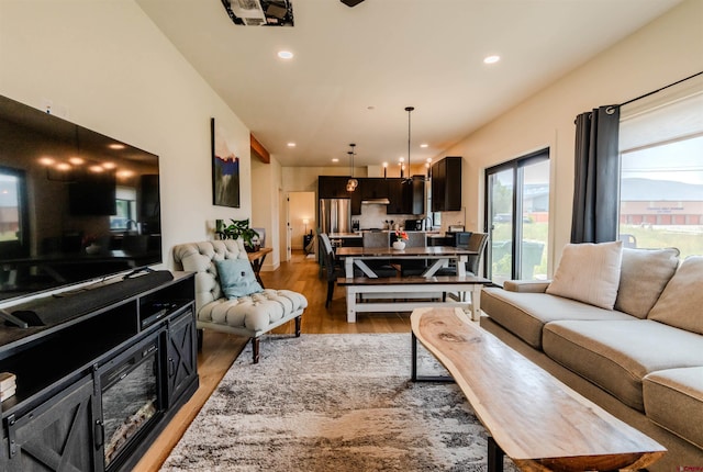 living room with wood-type flooring