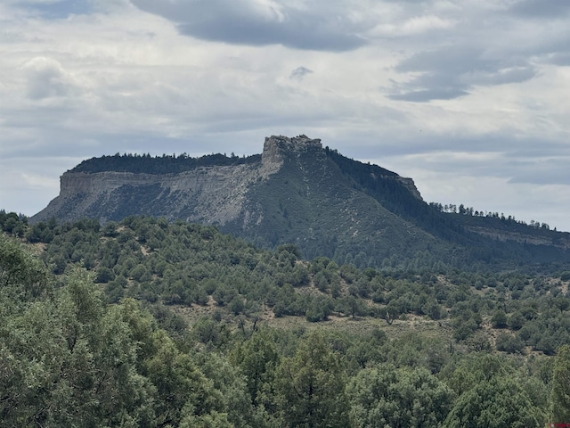 Listing photo 3 for 2241 S Rockcliff Cir, Pagosa Springs CO 81147