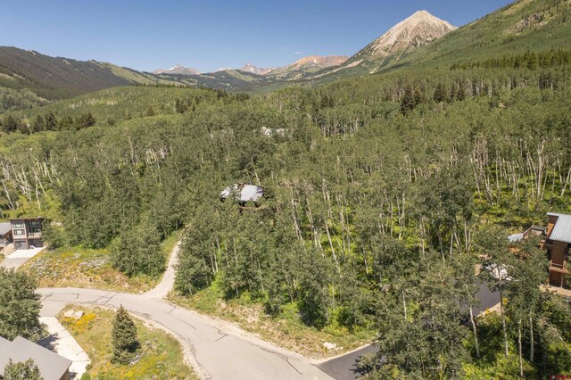 Listing photo 3 for 57 Peeler Ln, Crested Butte CO 81224