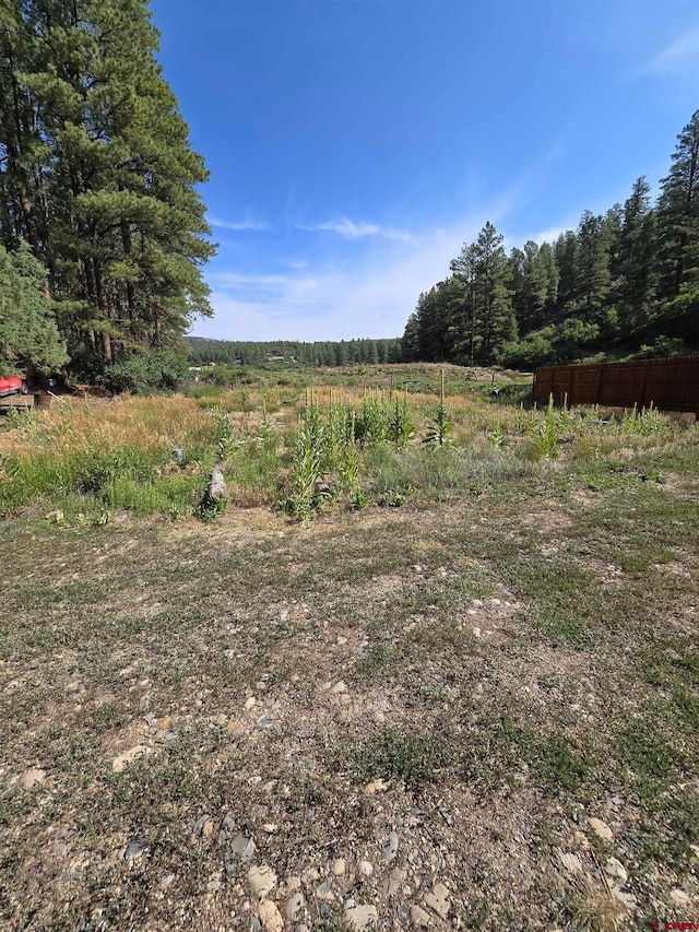 668 Raccoon Dr, Pagosa Springs CO, 81147 land for sale