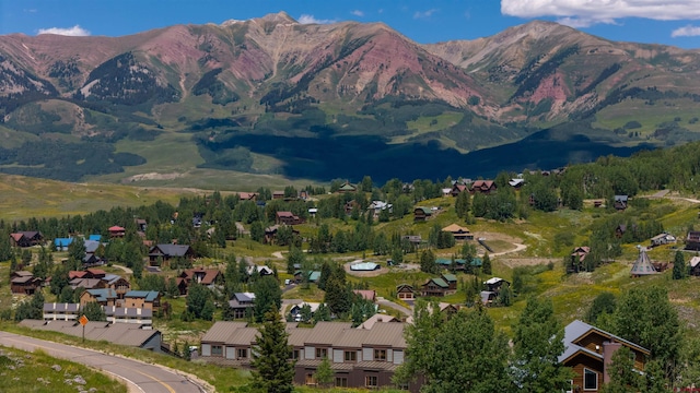 11 Morning Glory Way Unit 6, Crested Butte, CO 81225 - mountain view