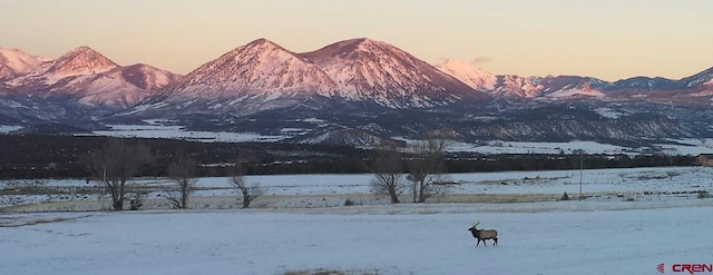 mountain view