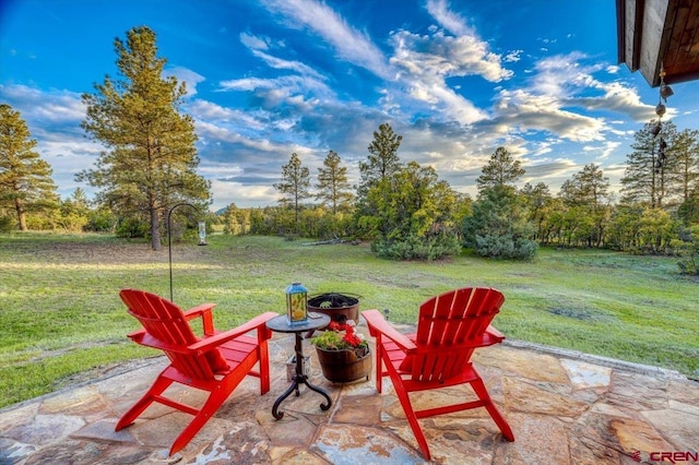 view of yard with a patio area