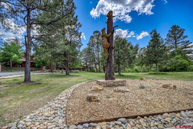 387 Bristlecone Dr, Pagosa Springs, CO 81147 - view of yard