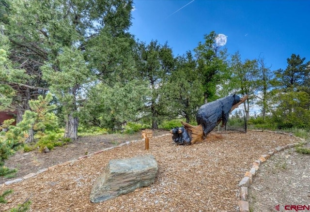 387 Bristlecone Dr, Pagosa Springs, CO 81147 - view of yard