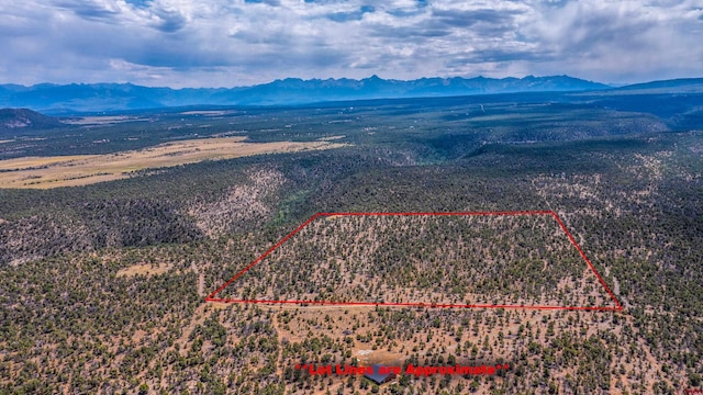 277 Cotton Ln, Montrose CO, 81403 land for sale