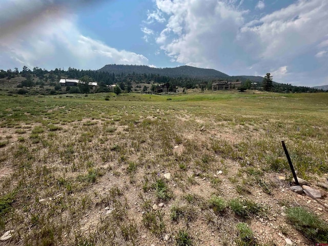 31 Greenside Ct, South Fork CO, 81154 land for sale