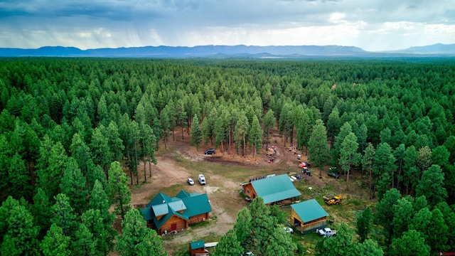 drone / aerial view with a mountain view