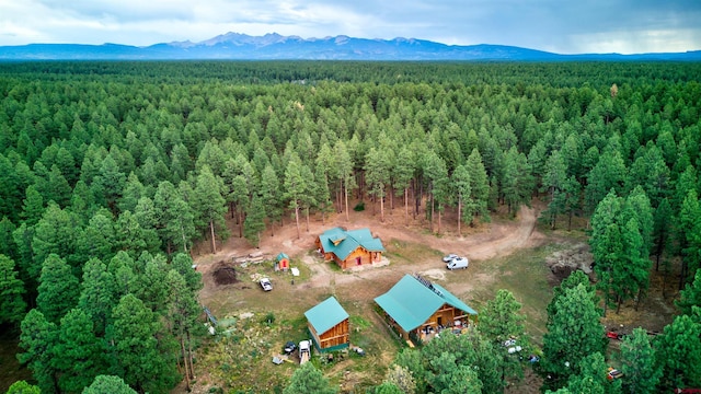 bird's eye view with a mountain view