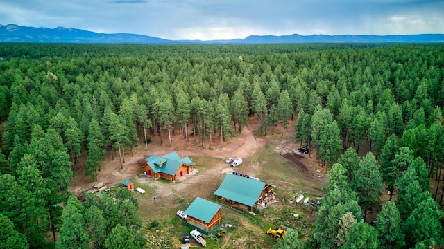 birds eye view of property featuring a mountain view