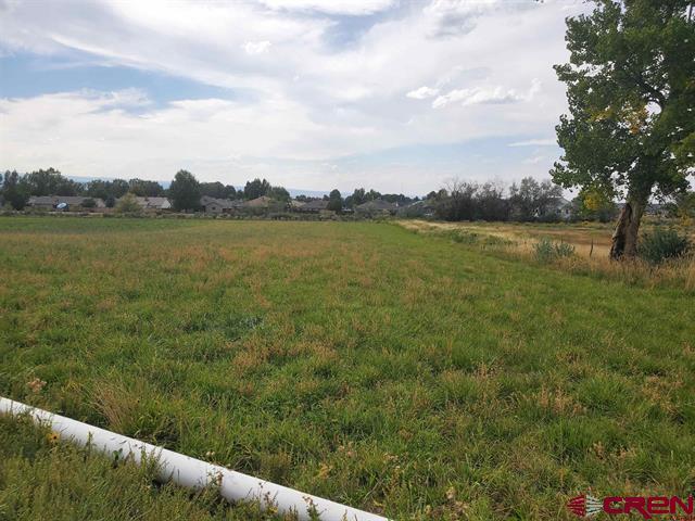 Listing photo 2 for LOT2 6600th Rd, Montrose CO 81401