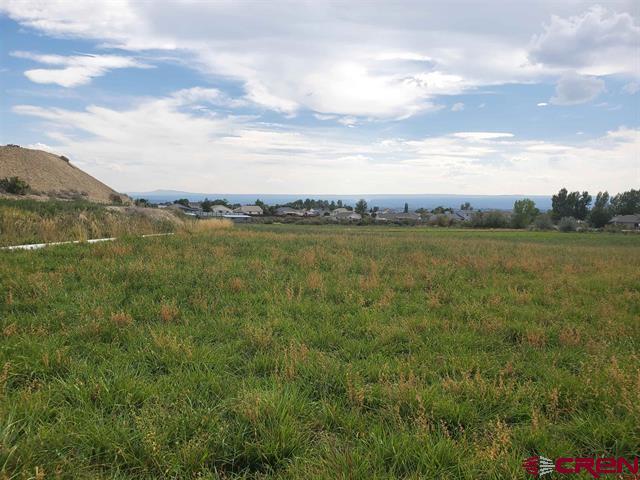 Listing photo 3 for LOT2 6600th Rd, Montrose CO 81401