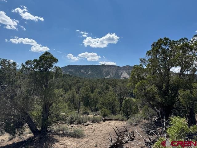 2519 Green Shadows Rd, Durango CO, 81303 land for sale