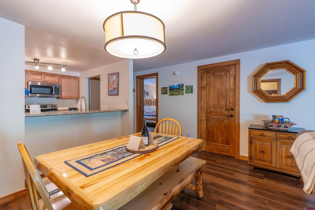 dining room with rail lighting and dark hardwood / wood-style floors