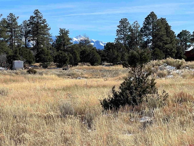 TBD(lot328) Bear Cub Drive, Ridgway CO, 81432 land for sale