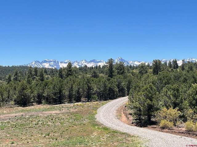 744 Larsen Dr, Montrose CO, 81403 land for sale