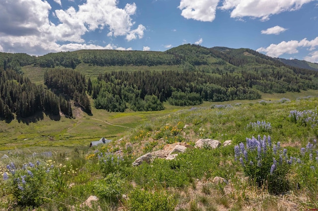 351 Meadow Dr, Crested Butte CO, 81224 land for sale