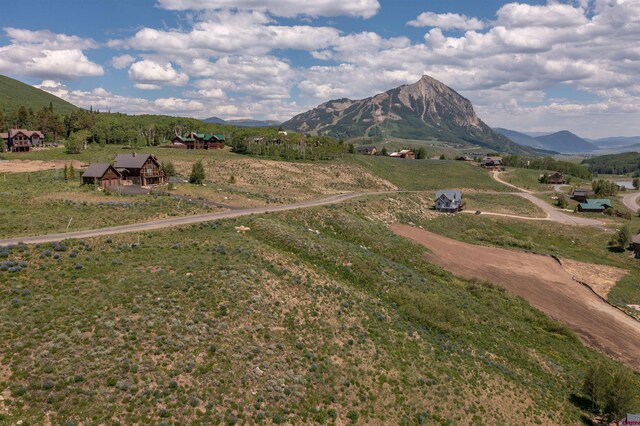 Listing photo 3 for 351 Meadow Dr, Crested Butte CO 81224