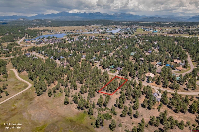 Listing photo 2 for 110 Woodridge Cir, Pagosa Springs CO 81147